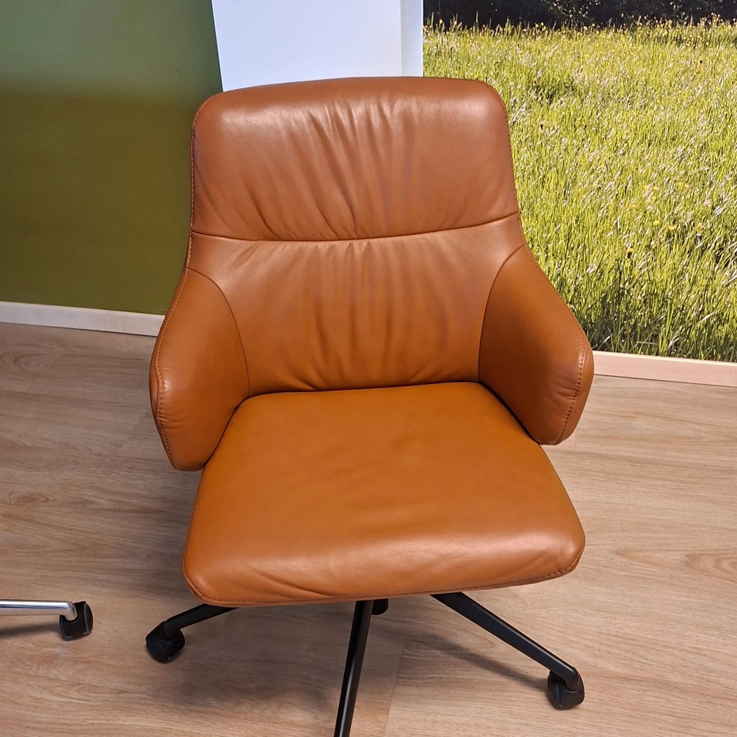 Stressless Mint Office